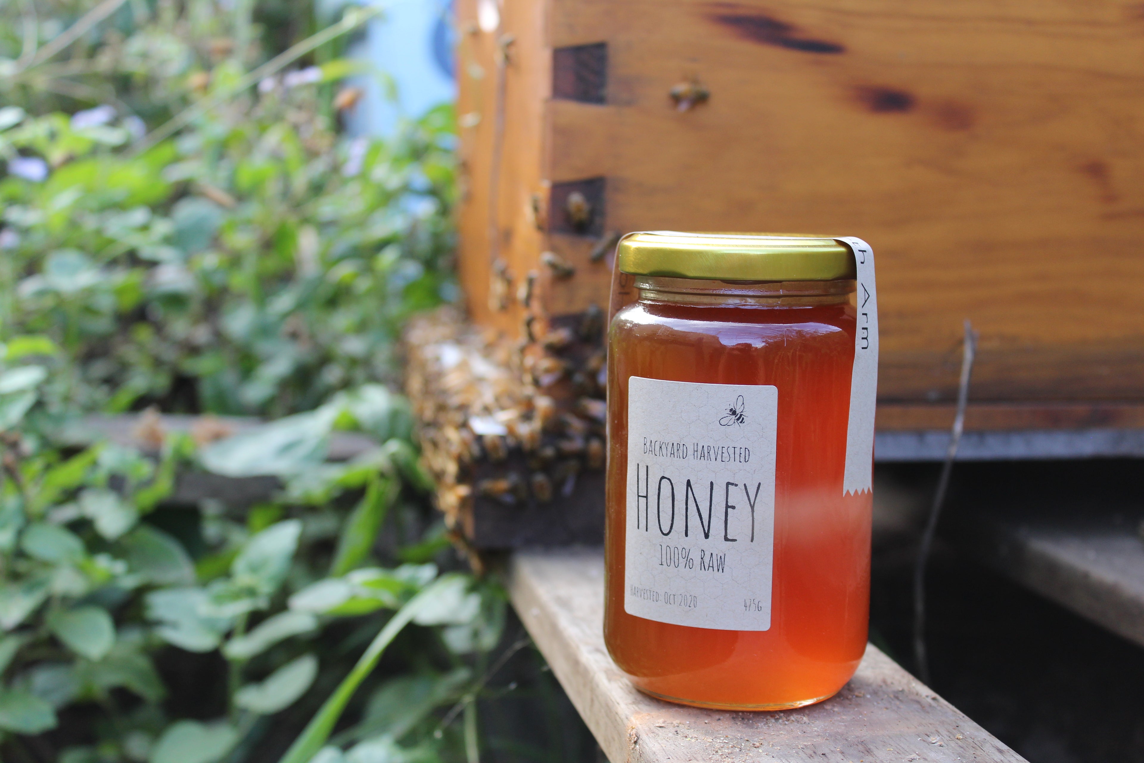 Our honey comes direct from the hive. It's filtered once to remove particles like wax and pollen so it is pure and unadulterated. This photo is taken in front on one of our working hives.